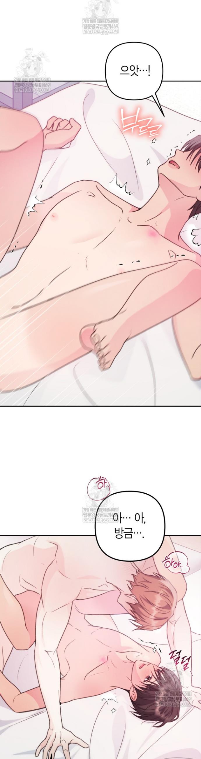 005.jpg