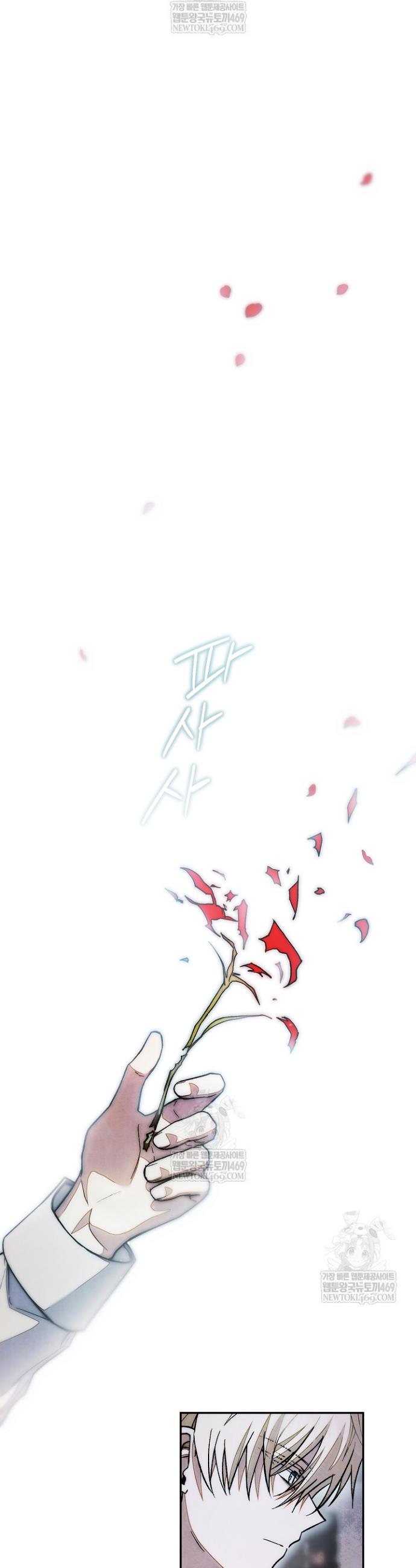 048.jpg