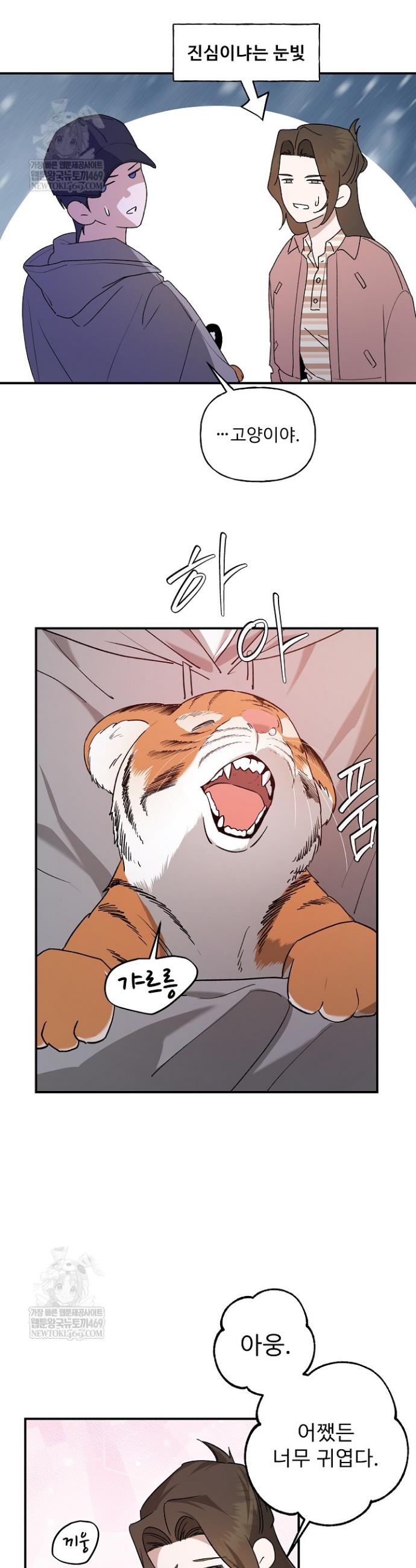 005.jpg