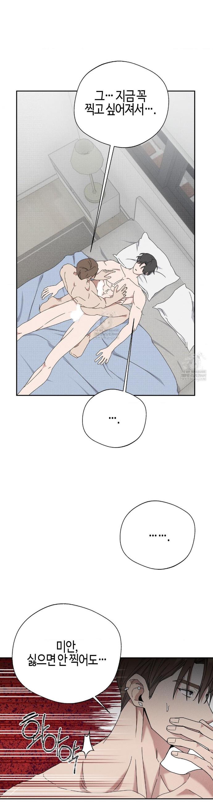 005.jpg