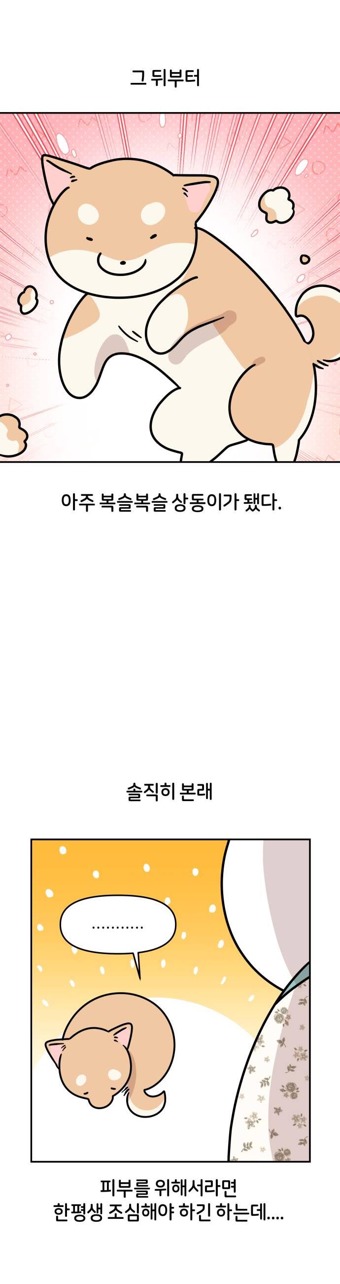 004.jpg
