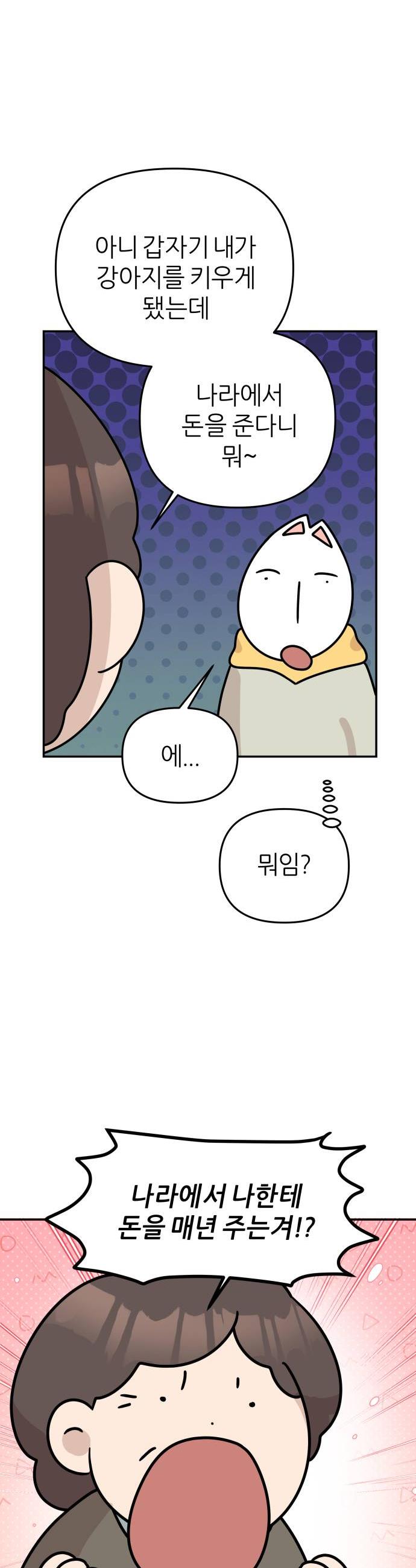 010.jpg