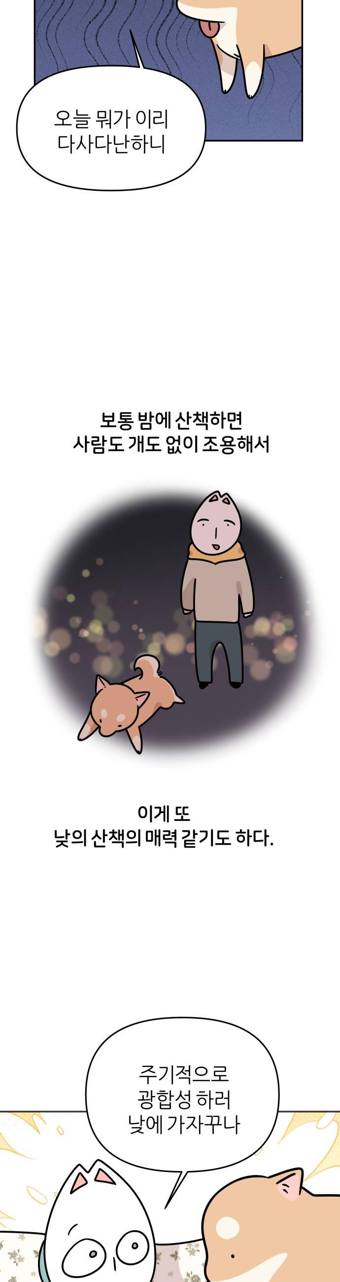 020.jpg