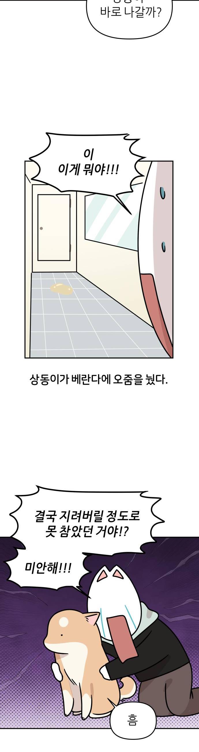 006.jpg