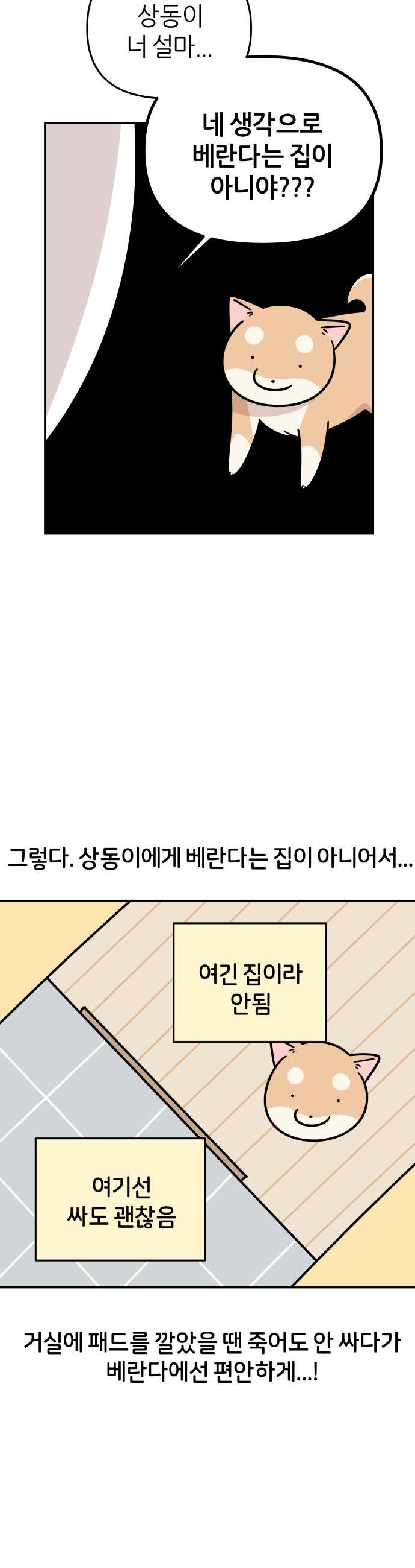 010.jpg