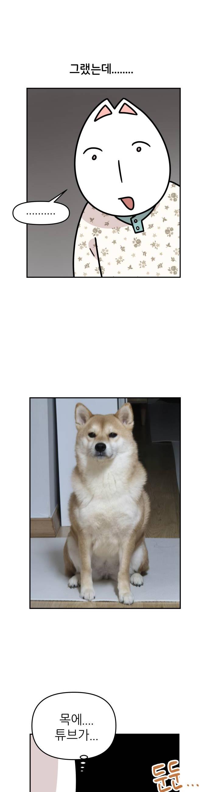 002.jpg