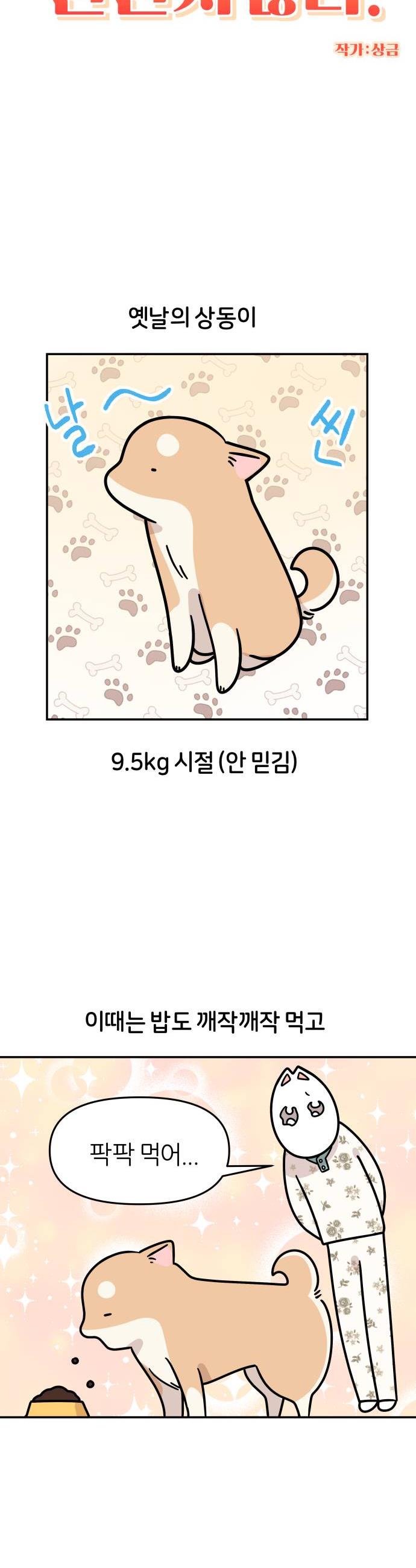 004.jpg