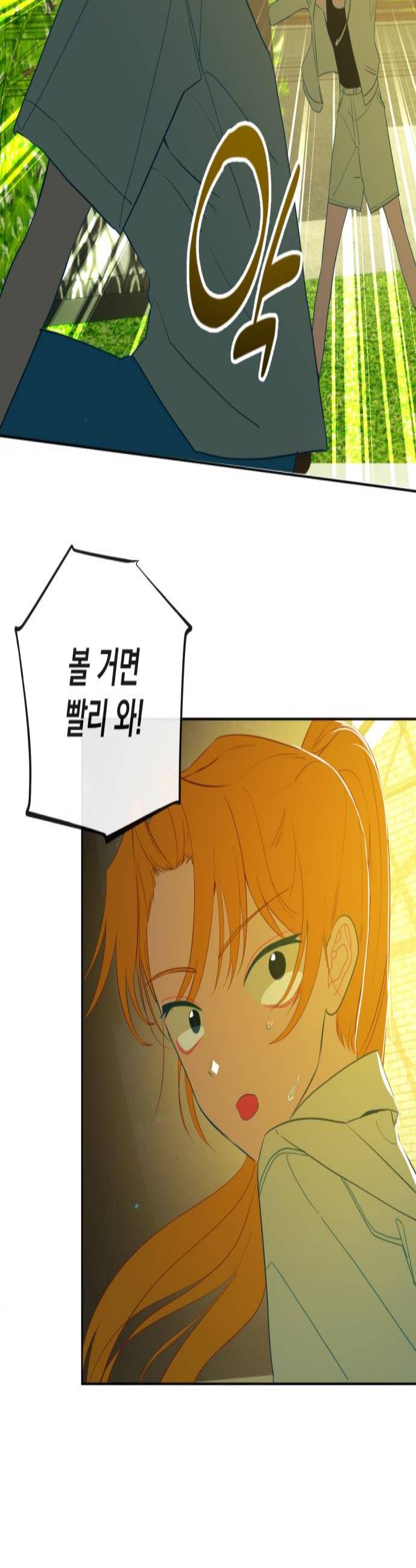 002.jpg