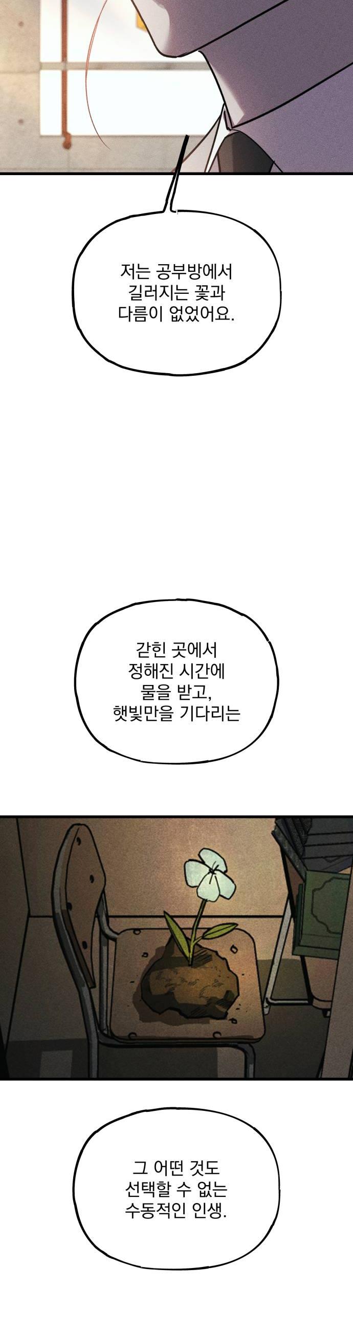 050.jpg