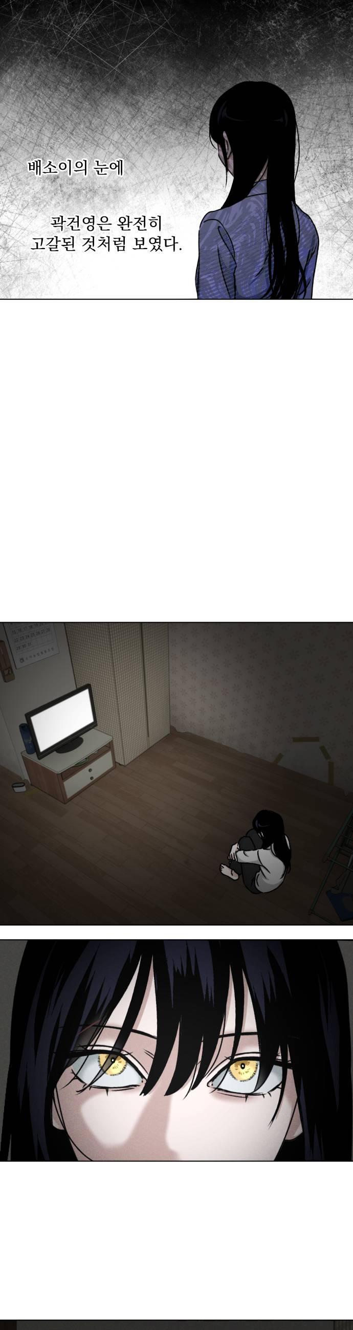 005.jpg