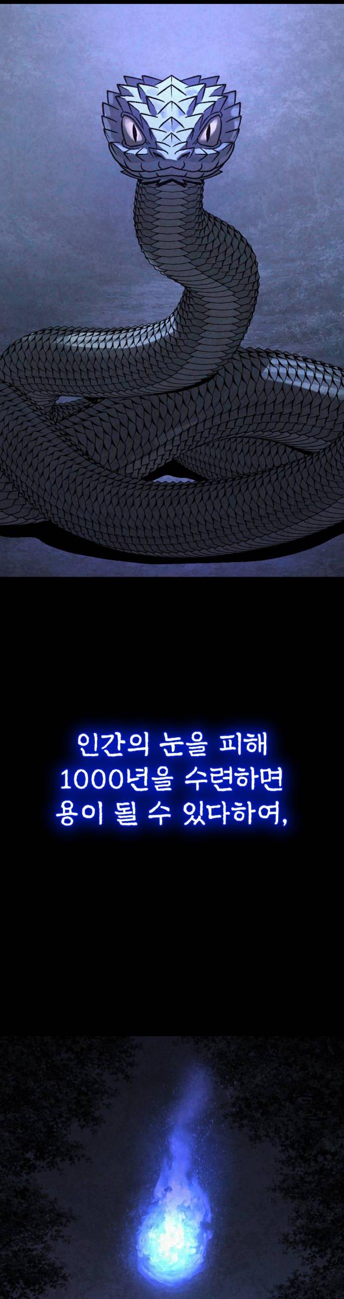 008.jpg