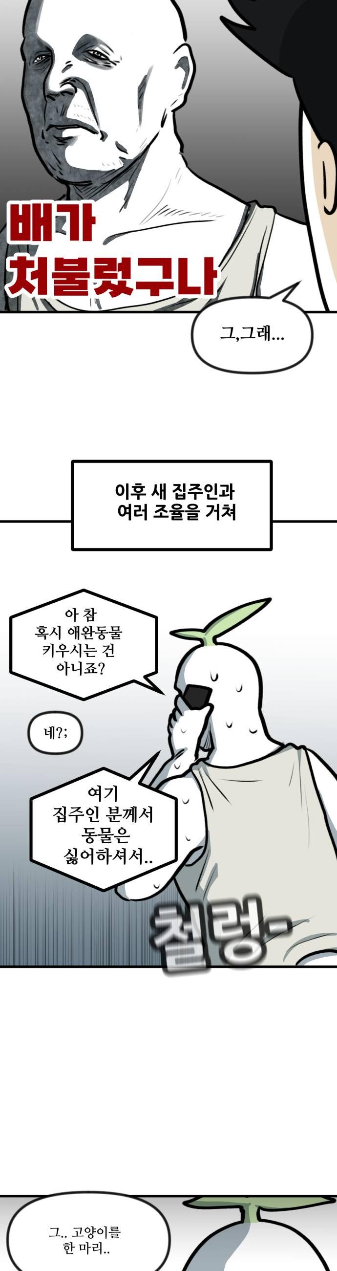 009.jpg