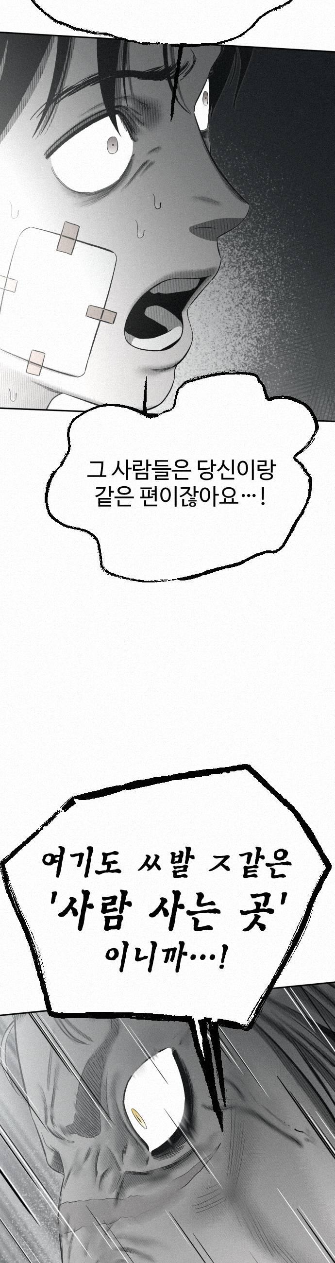 043.jpg