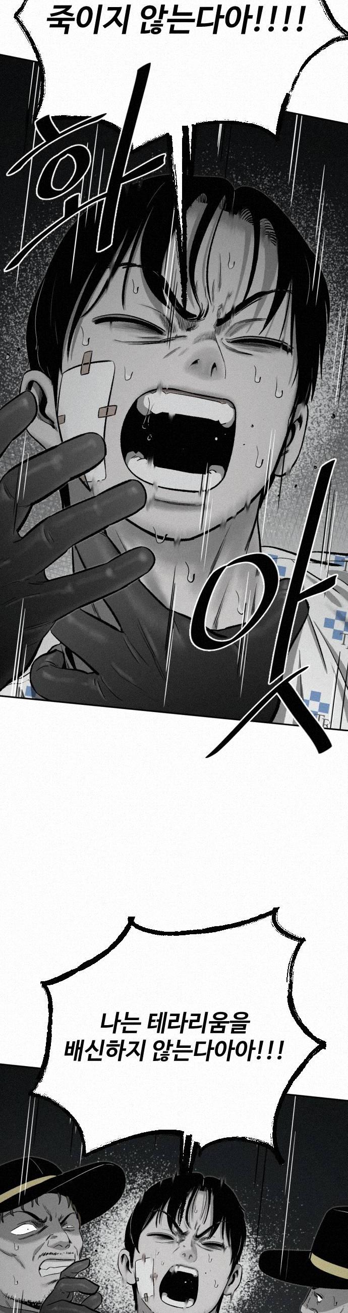 038.jpg
