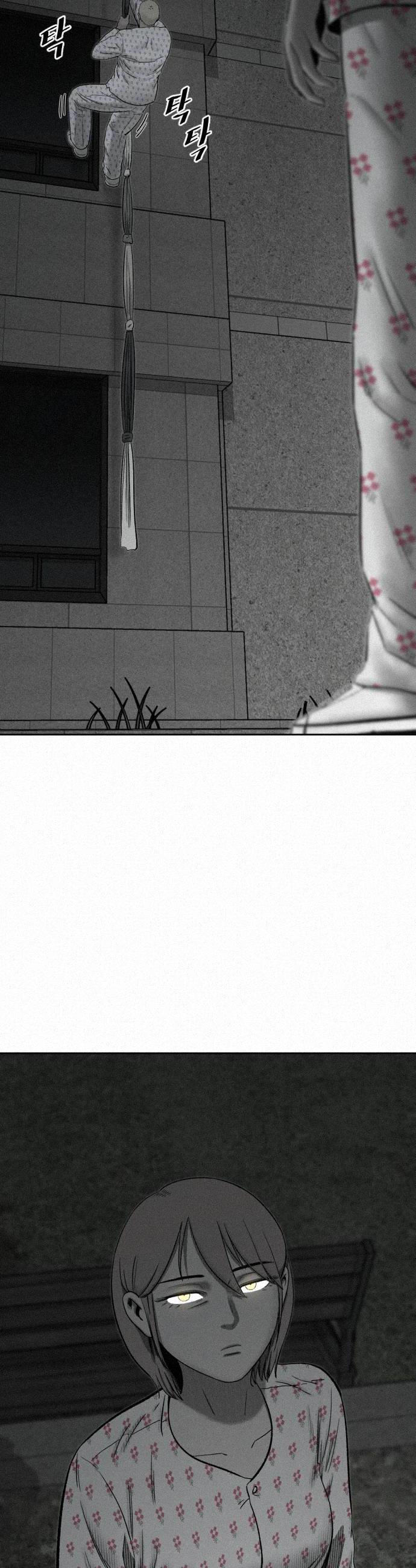048.jpg