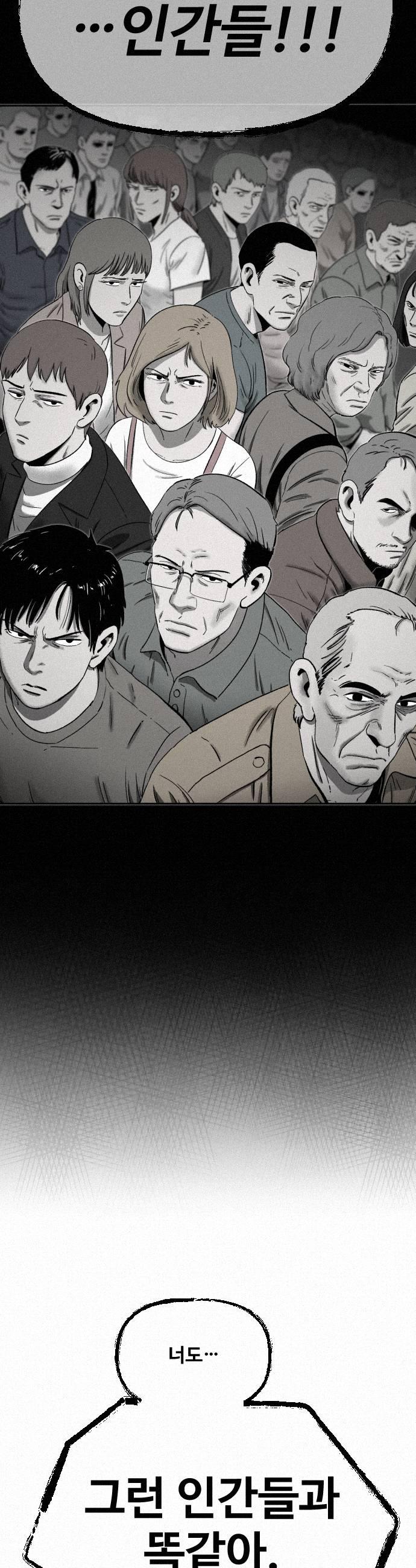041.jpg