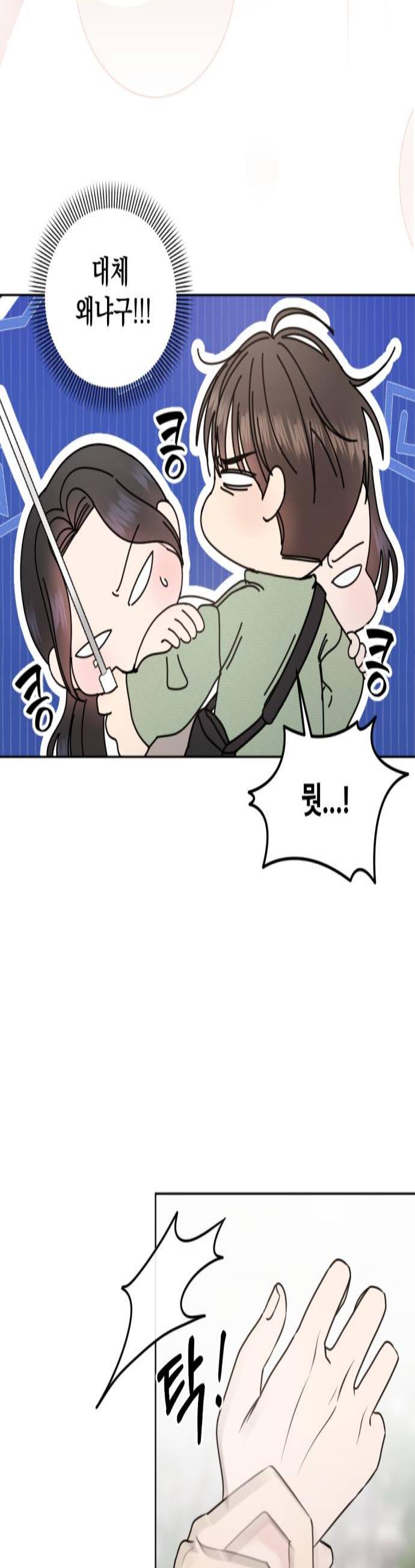 003.jpg