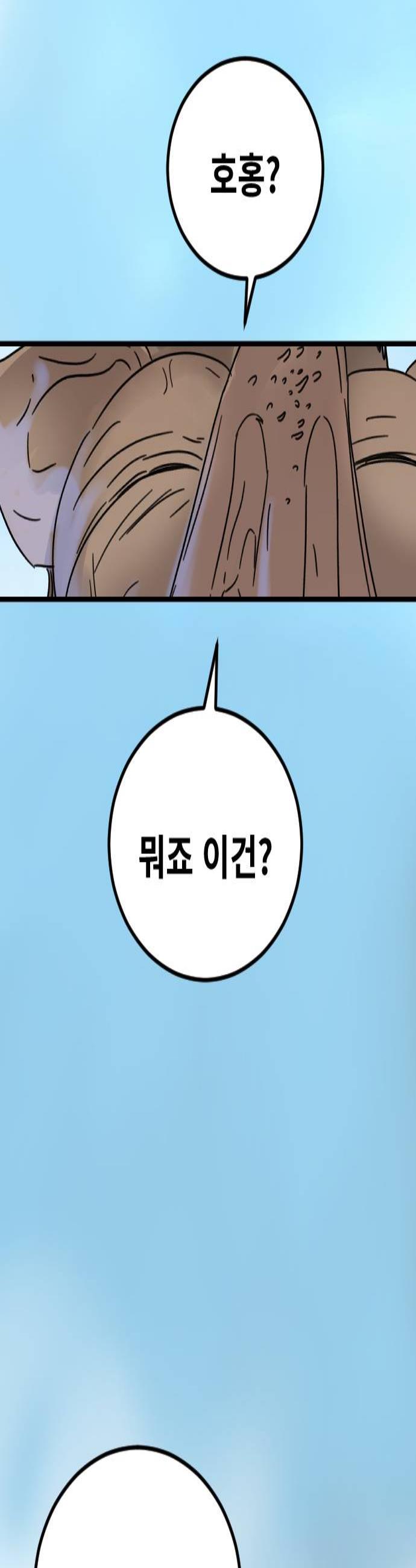 003.jpg
