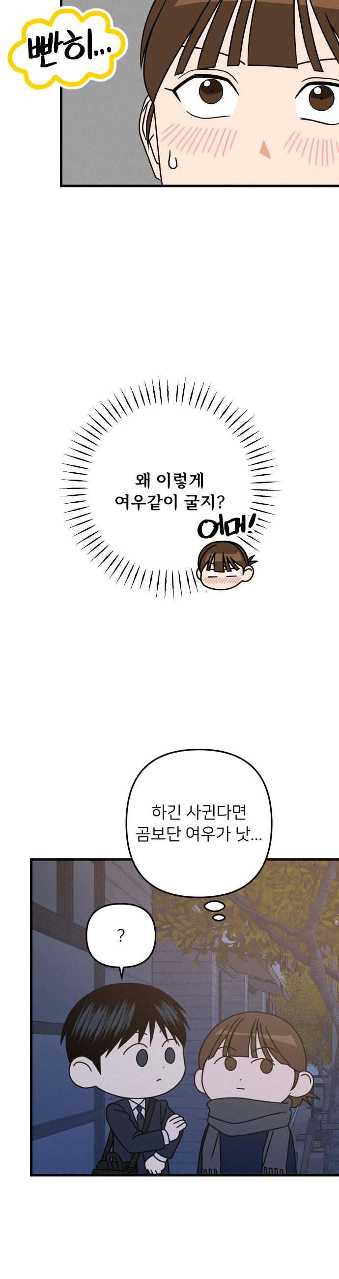 009.jpg