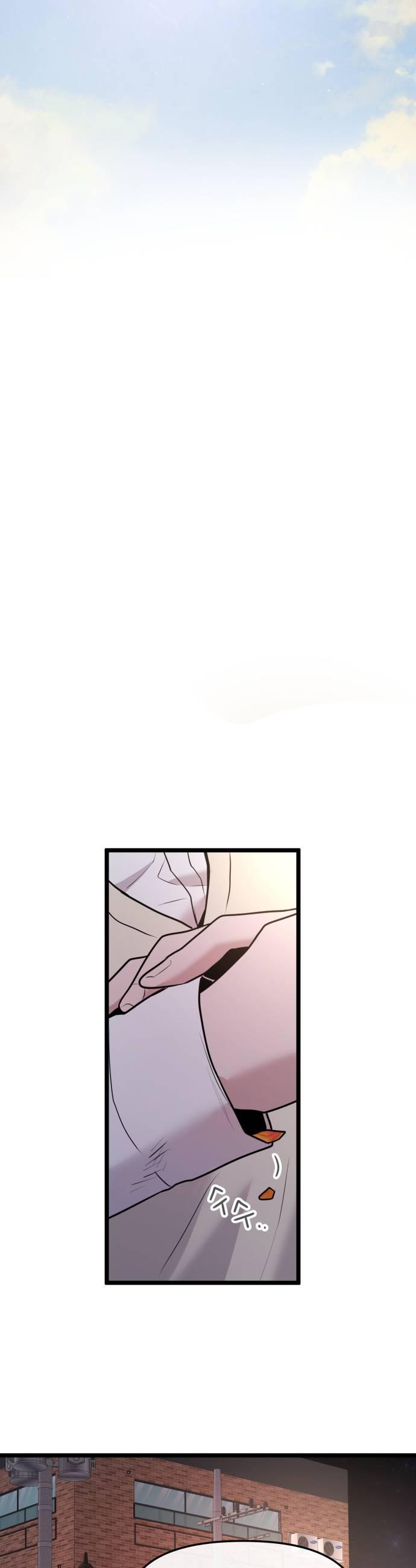 031.jpg