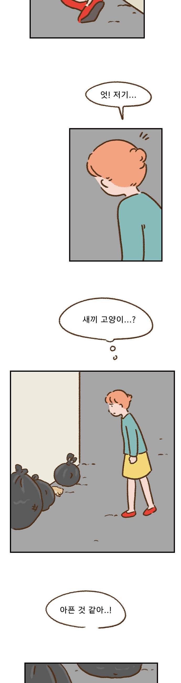 003.jpg
