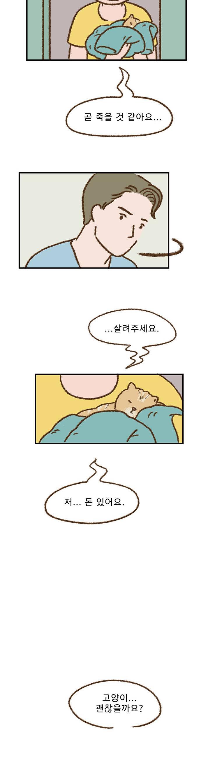 009.jpg