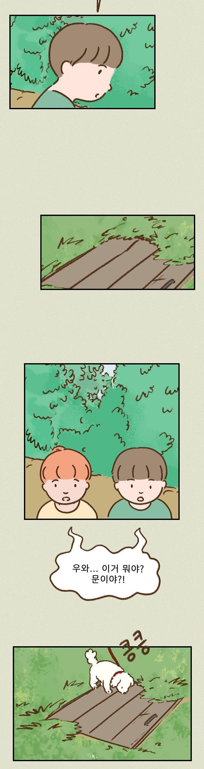 003.jpg
