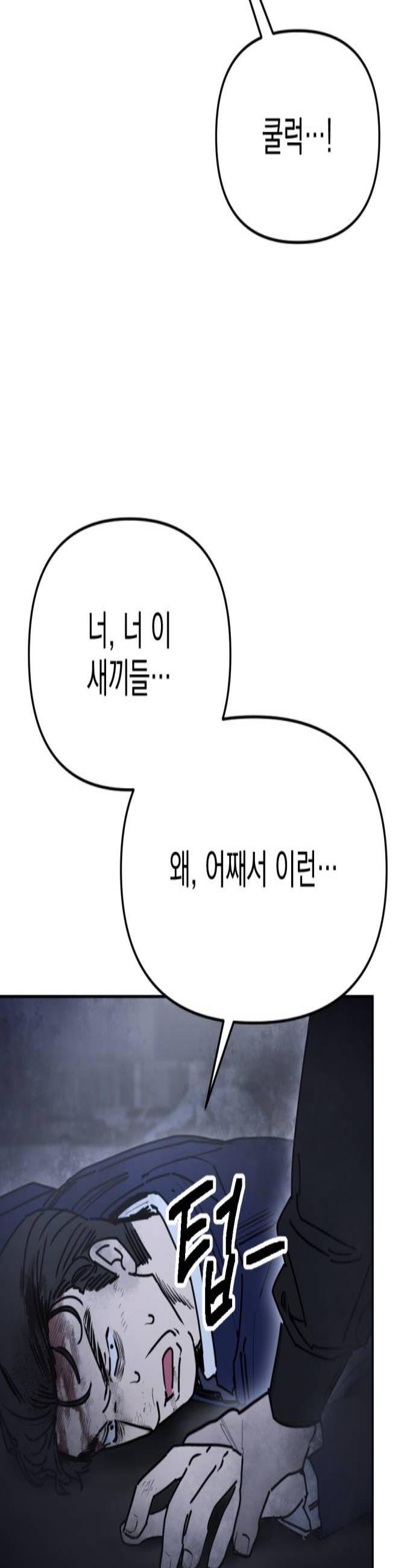 003.jpg