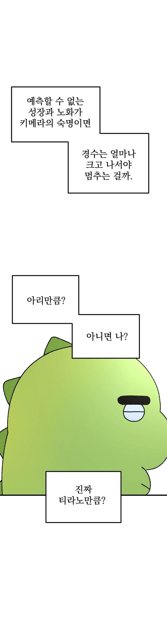 031.jpg