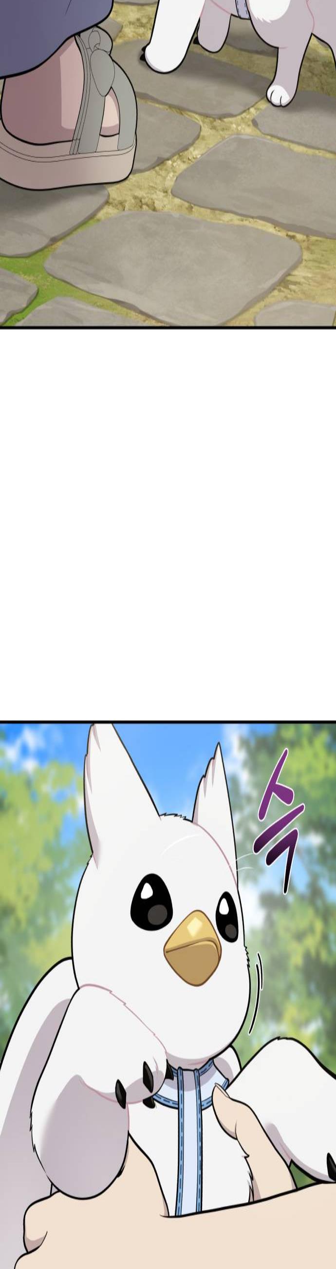 002.jpg