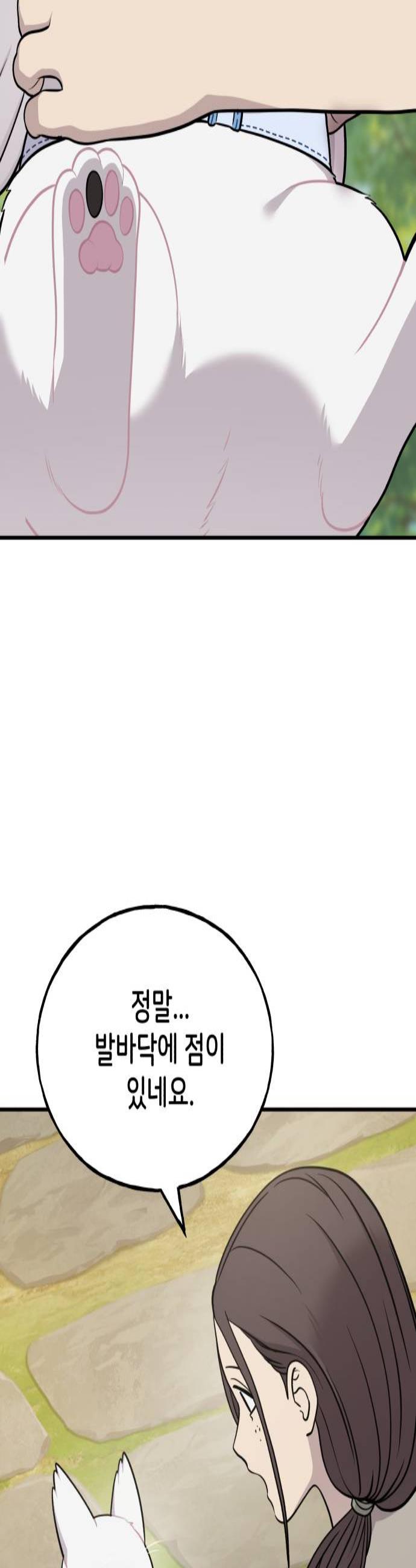 003.jpg