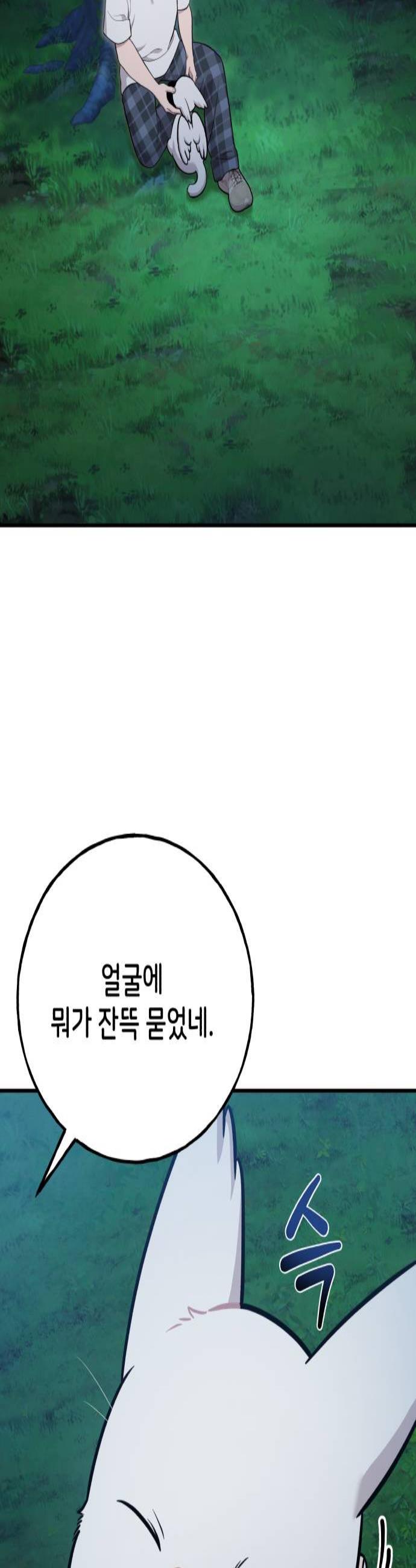 003.jpg