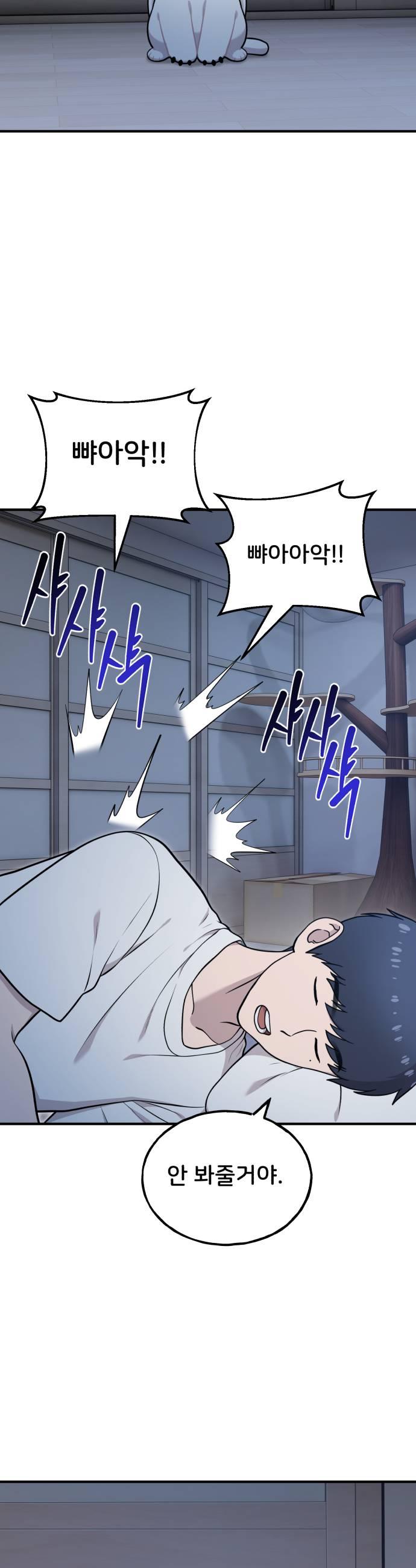 043.jpg