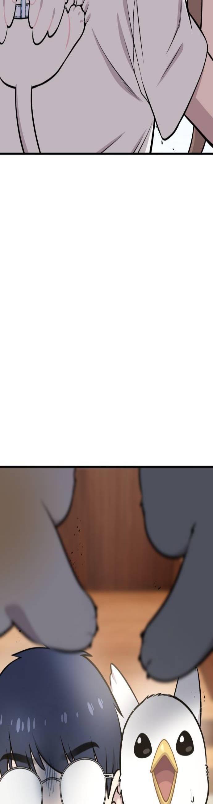003.jpg