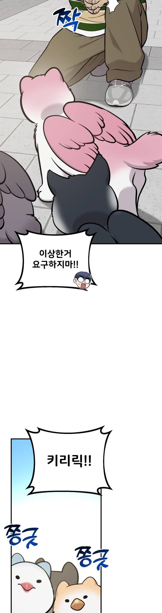009.jpg