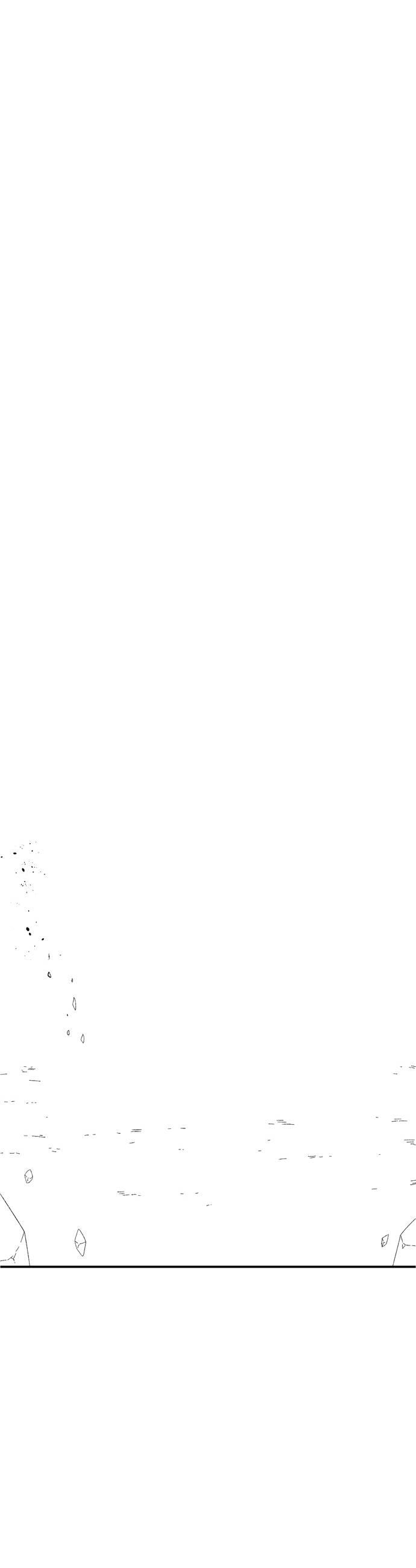 046.jpg