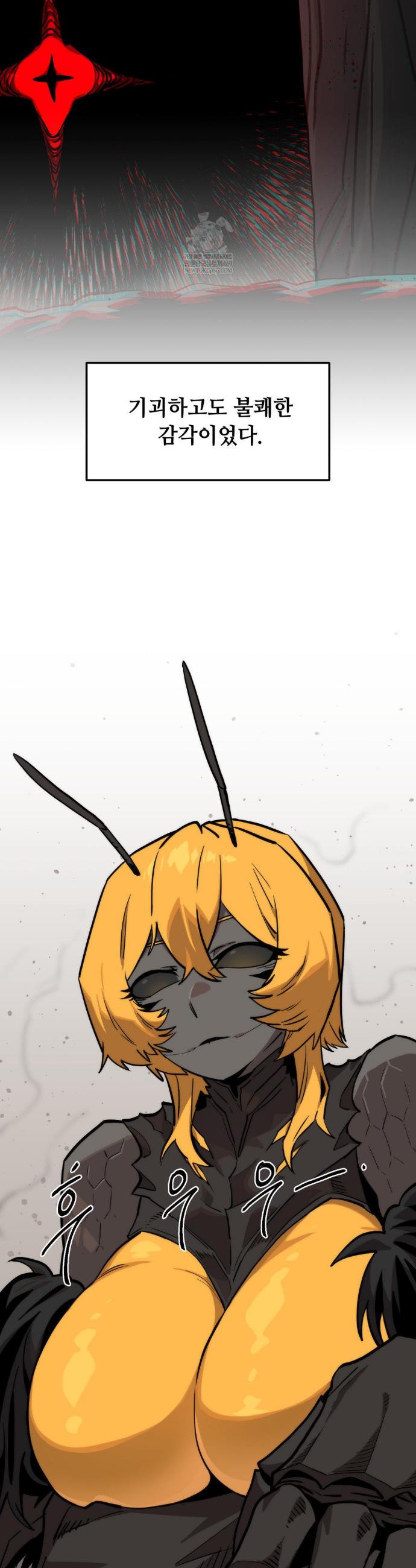 003.jpg