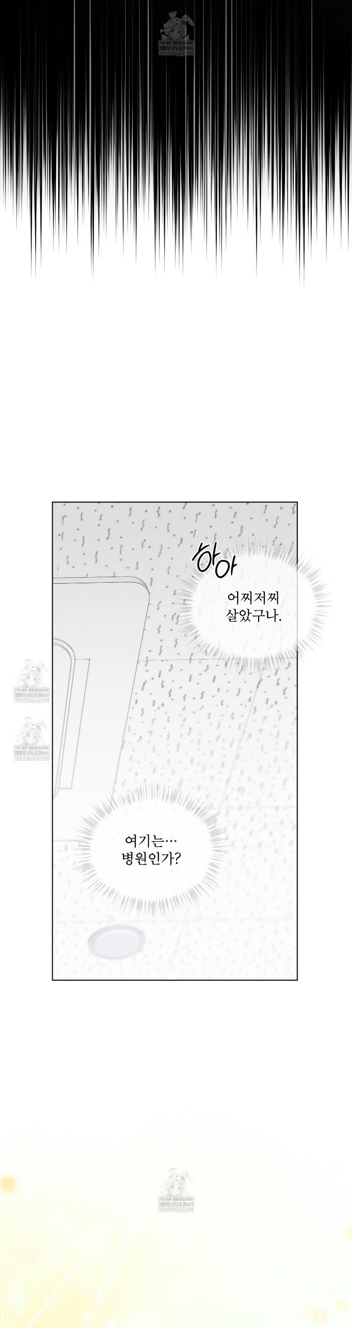 006.jpg