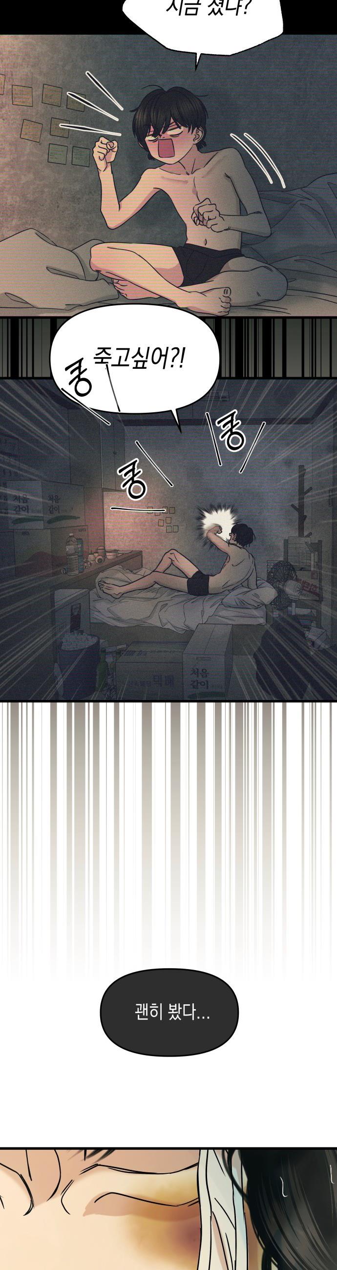 005.jpg