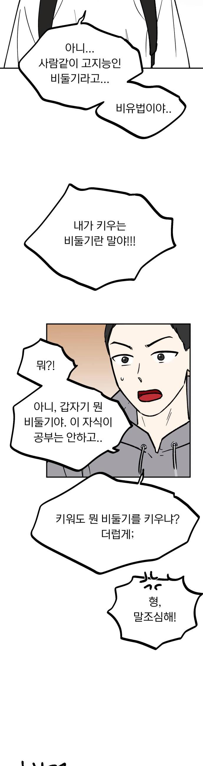 010.jpg