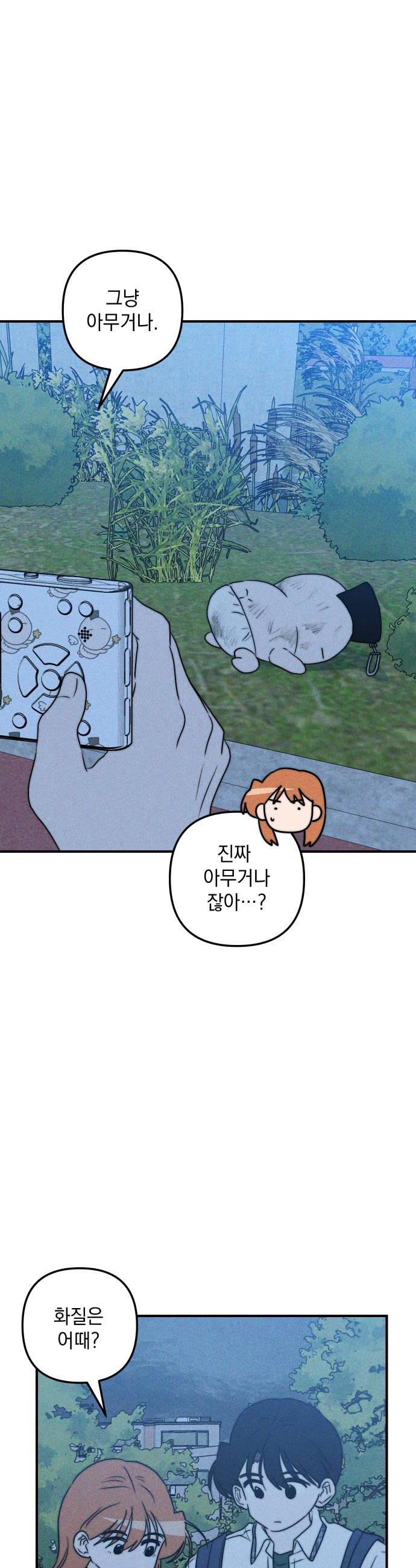 022.jpg