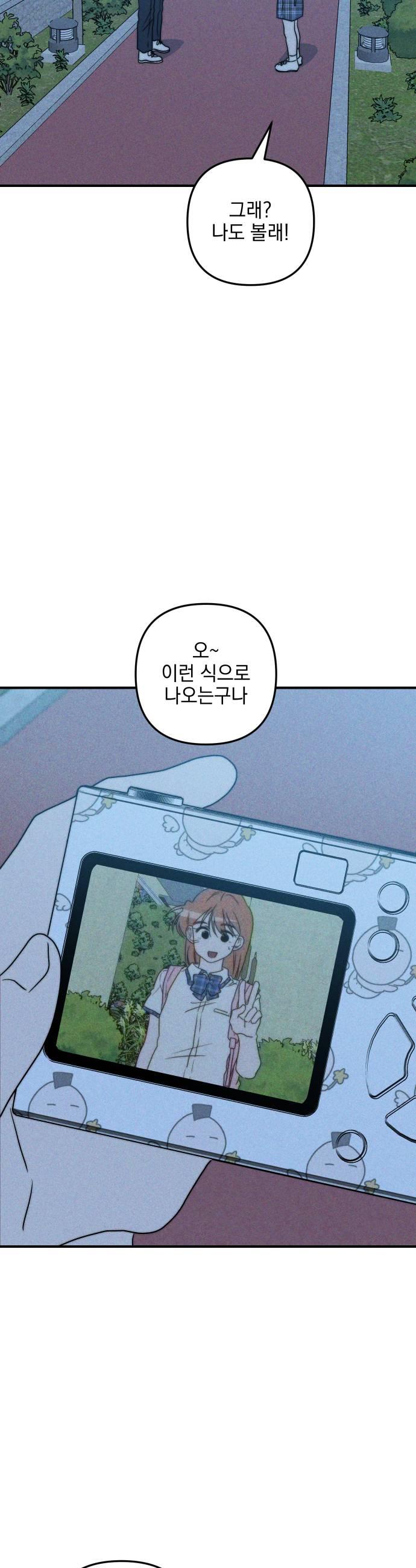 031.jpg