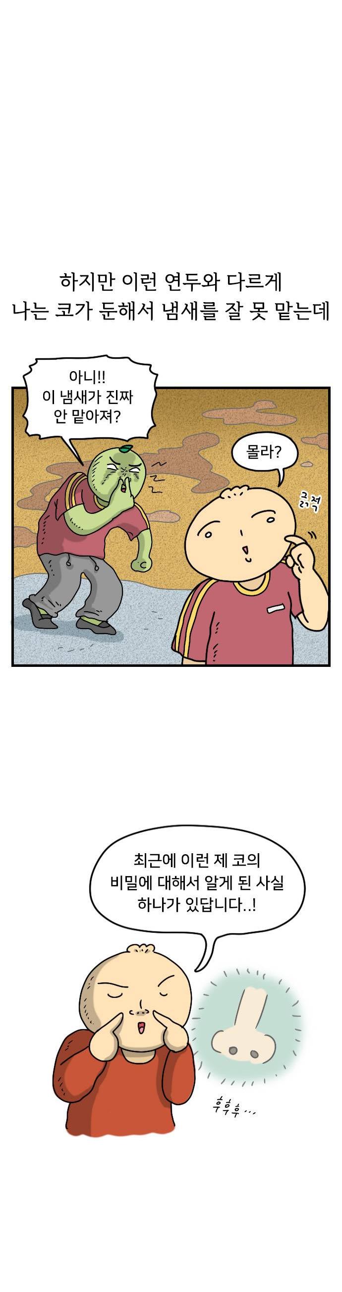 005.jpg