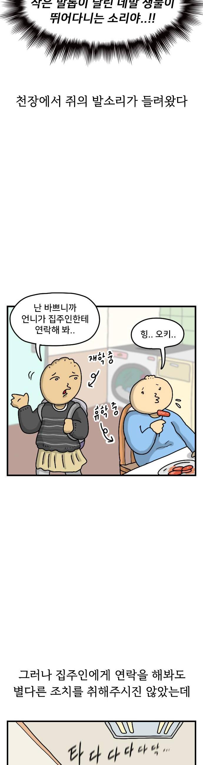 004.jpg