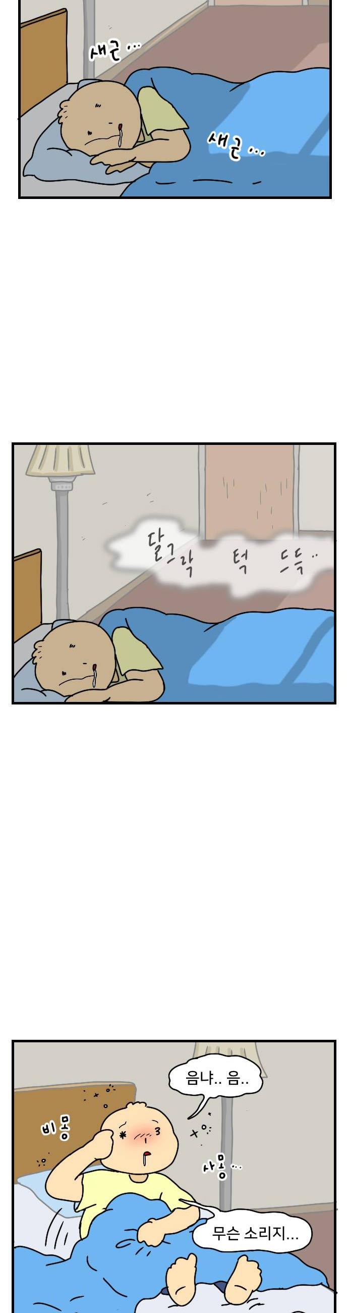006.jpg