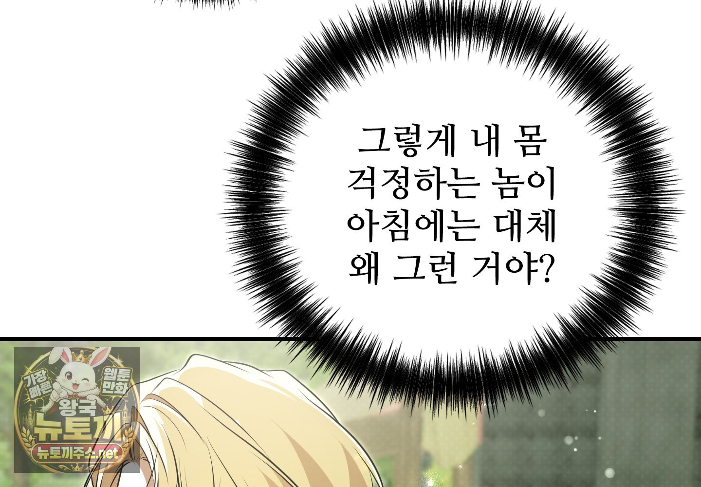 113.jpg