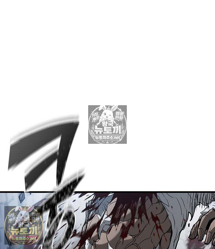 144.jpg