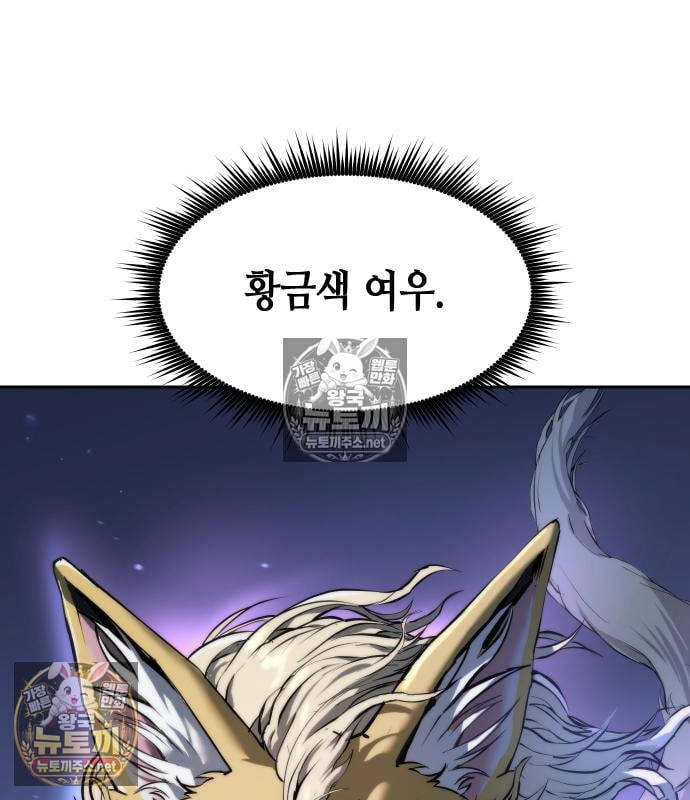 213.jpg
