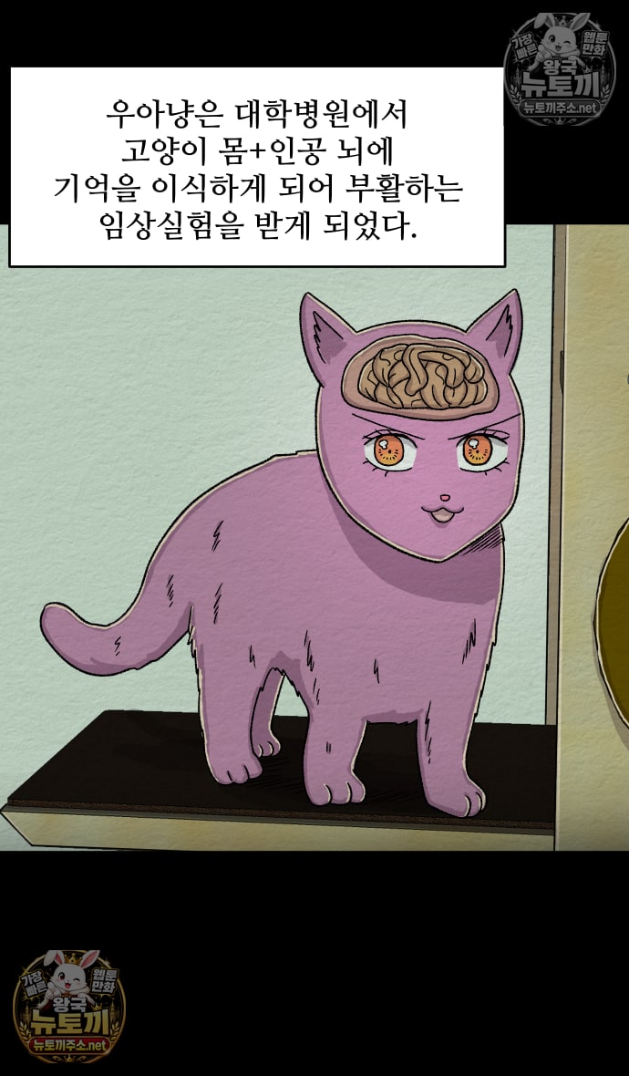 050.jpg