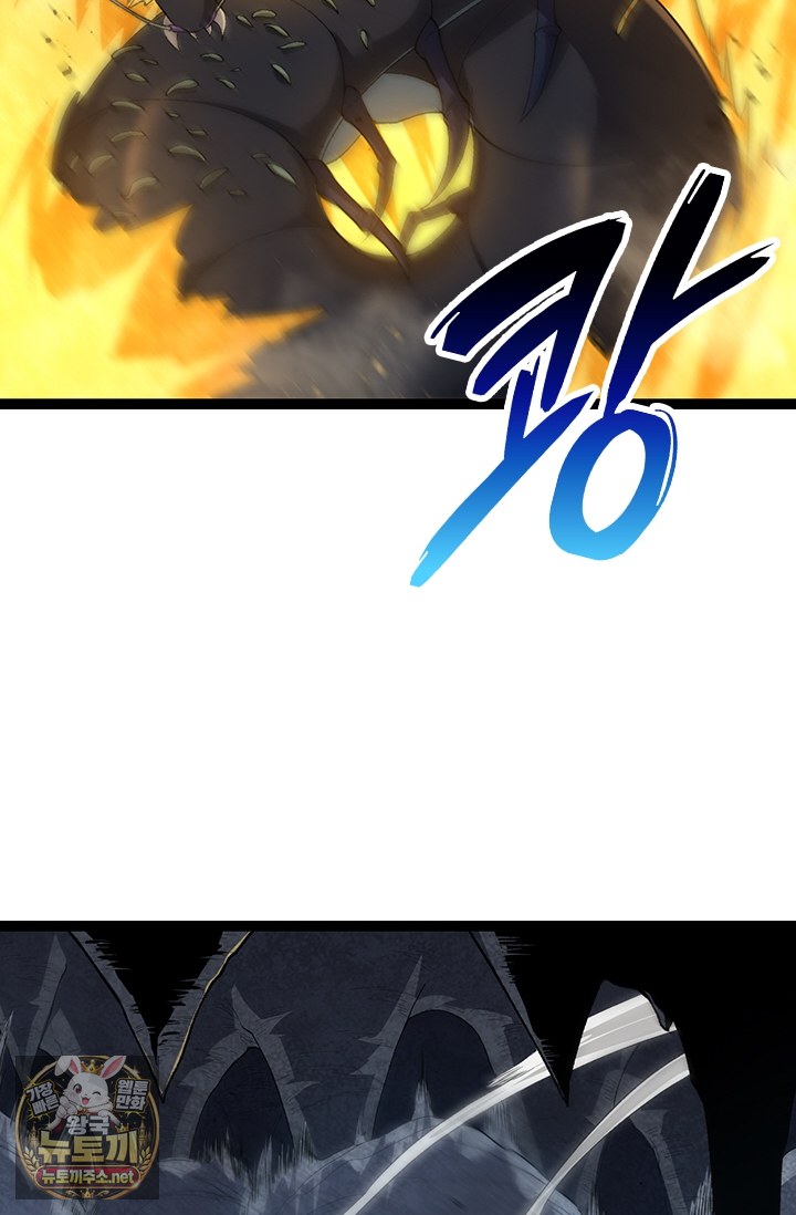 005.jpg